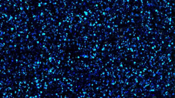 Wallpaper Blue, Glitter, Black, Desktop, Stones, Glittering