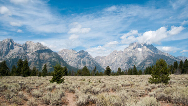 Wallpaper Grass, Mountains, Clouds, White, Trees, Mobile, Blue, Sky, Dry, Nature, Green, Field, Desktop