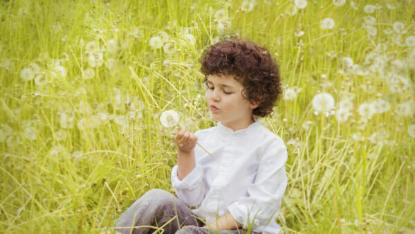 Wallpaper Shirt, Grass, Green, Jeans, With, Cute, Sitting, Flower, And, Wearing, Boy, White, Dandelion
