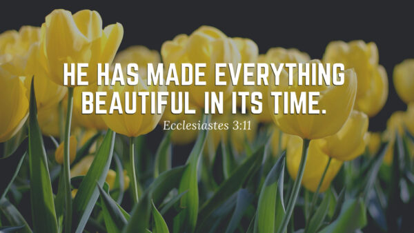 Wallpaper Everything, Has, Its, Time, Made, Beautiful, Jesus