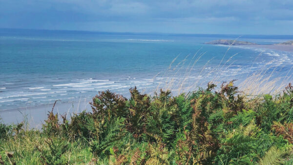 Wallpaper View, Sea, Grass, Nature, Coast, Landscape