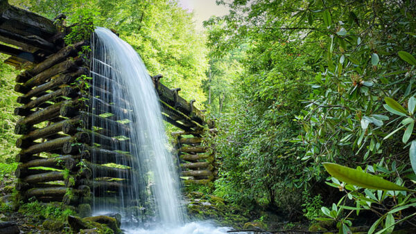 Wallpaper Background, Waterfall, Forest, Bridge, Wood, Trees, Green, From, Nature, Lake, Leafed