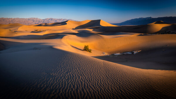 Wallpaper Travel, Desktop, Dune, Desert, Death, Sand, Mobile, Valley, California