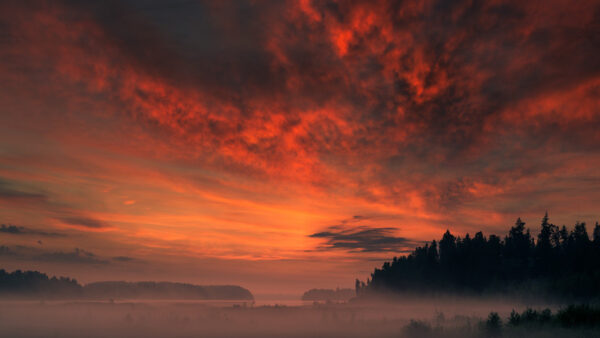 Wallpaper Sky, Fog, White, Red, River, Under, Black, Trees, Blue, Covered, Sunset, Clouds, Forest