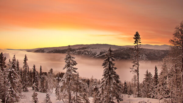 Wallpaper Sky, Mountain, Winter, Trees, Yellow, Red, Covered, Foggy, Clouds, Under, Snow, Field