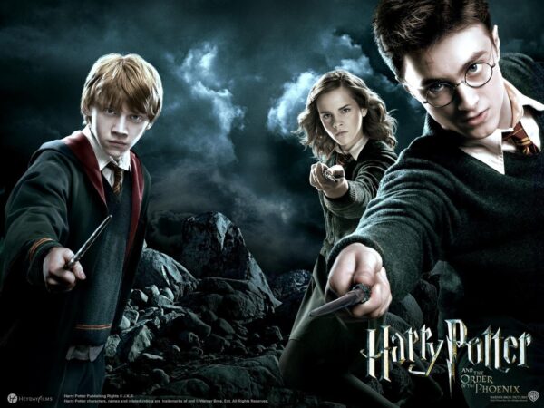 Wallpaper Potter, Harry, Phoenix, Order