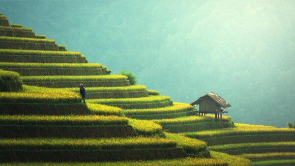 Wallpaper Rice, Mobile, Under, Blue, Terrace, Desktop, Sky, Man, Made, Nature