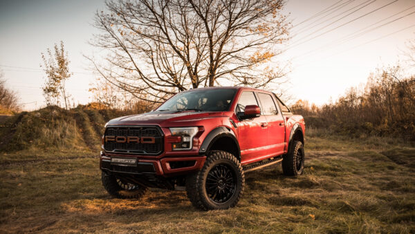 Wallpaper With, Desktop, Background, And, Raptor, Car, Tree, 150, Field, Grass, Ford, Sky