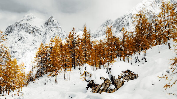 Wallpaper Mobile, White, River, Snow, Under, Desktop, Trees, Nature, Covered, Sky, Mountains