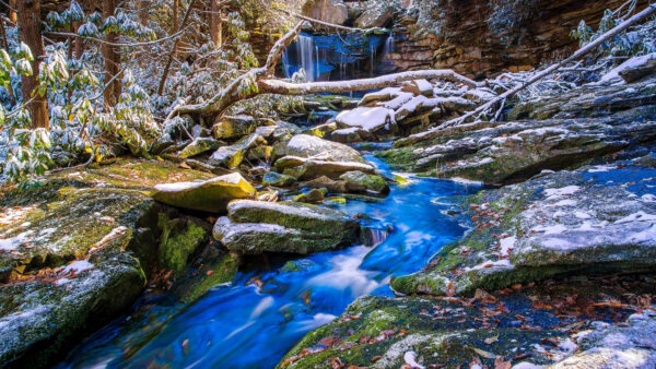 Wallpaper Waterfall, Trees, Nature, And, Covered, Stones, White, Snow, Mobile, Forest, Between, Desktop, Stream, Algae, Background