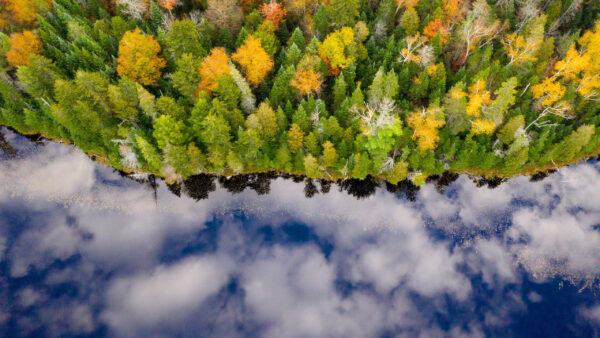 Wallpaper With, Nature, Sky, Cloudy, View, Forest, Reflection, Blue, Aerial, Fall, River, Desktop