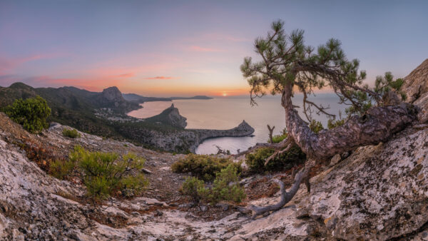 Wallpaper Landscape, Morning, Pine, Nature, During, Desktop, Dawn, With, And, Tree, Sea, Rock, Crimea