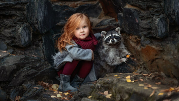 Wallpaper Raccoon, Sitting, With, Wearing, Redhead, Little, Cute, Coat, Girl, Rock, Background, Grey