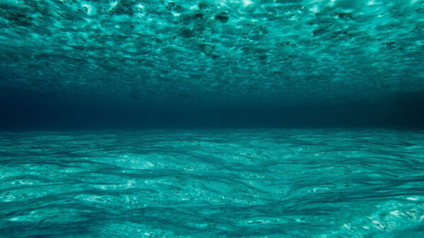 Wallpaper Blue, Ocean, Underwater