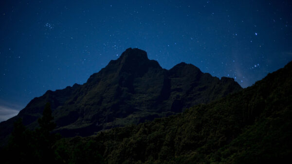 Wallpaper Trees, Mountains, Sky, Desktop, Under, Blue, Mobile, During, Nighttime, Nature, Starry, Green