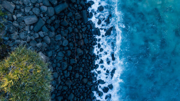 Wallpaper Ocean, Stones, Aerial, Palm, Tree, Rocks, Waves, View