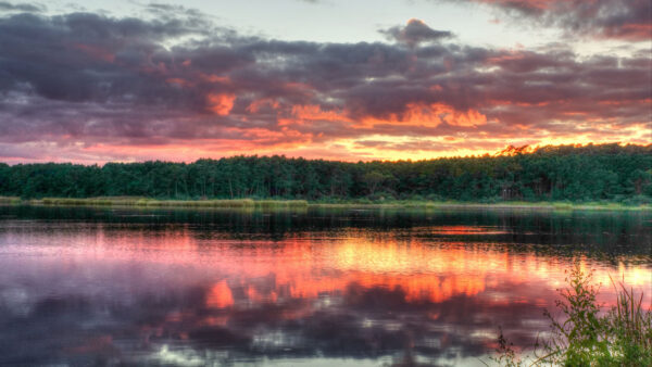 Wallpaper Forest, Desktop, Nature, Mobile, Trees, Sky, Black, Sunset, Yellow, River, Clouds, Reflection, Green, Water, Blue, Under, During
