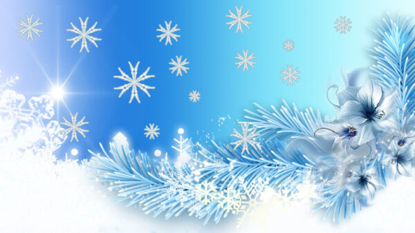 Wallpaper Blue, Artistic, Desktop, Snowflake, White, Branch, Flower, Snow