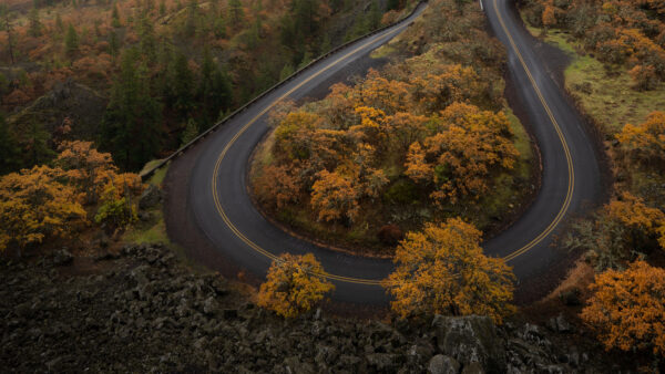 Wallpaper Curve, Aerial, Trees, Leaves, Green, Road, Turns, View, Mobile, Forest, Yellow, Desktop, Nature