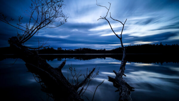 Wallpaper Nature, Under, Landscape, Water, Sky, Trees, Green, Reflection, White, Clouds, Blue, View