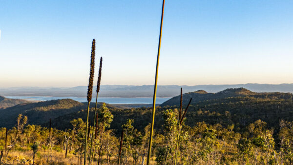 Wallpaper Blue, Grass, Nature, View, Mountains, Plants, Landscape, Sky, Under