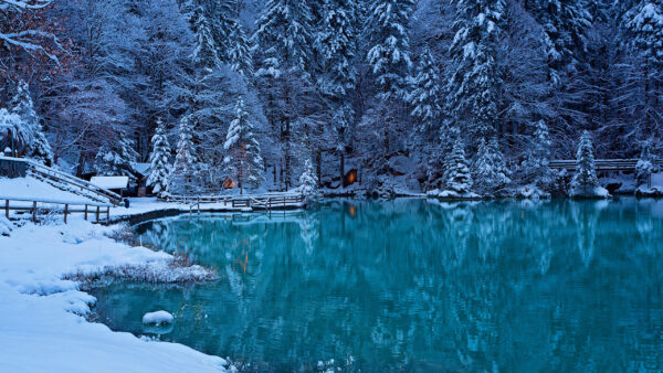 Wallpaper Reflection, Covered, Nature, Huts, Snow, Lake, Bridge, Trees, Winter, Beautiful, Scenery, Wooden