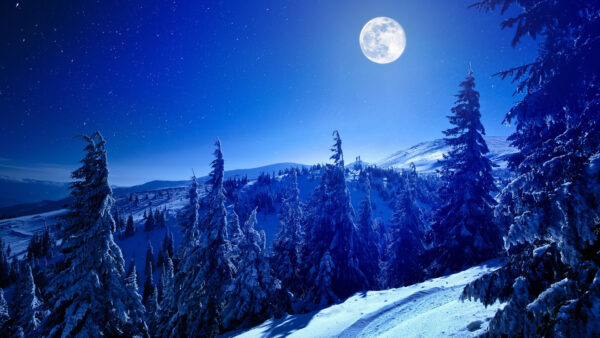 Wallpaper Slope, Snow, Under, Sky, During, Winter, Moon, Trees, Covered, Mountains, Starry