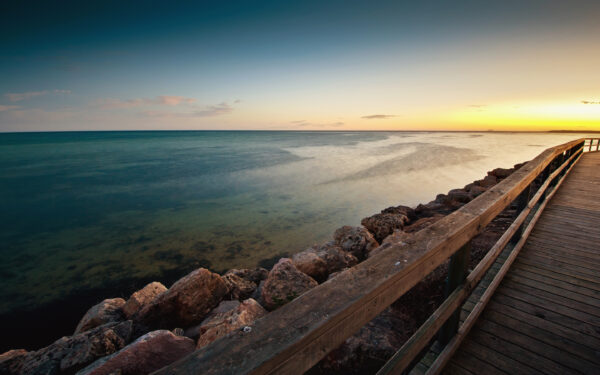 Wallpaper Clam, Beach