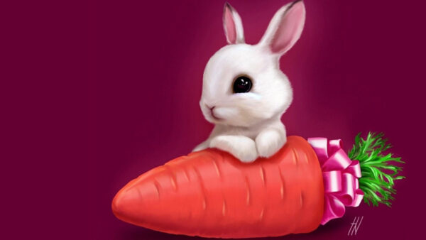 Wallpaper Desktop, Animals, White, Raspberry, Color, Cute, Rabbit, Carrot, Background, Photo