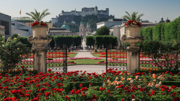 Wallpaper Travel, Mirabell, Palace, Salzburg, Gardens, Austria