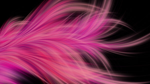 Wallpaper Pink, Desktop, Feather