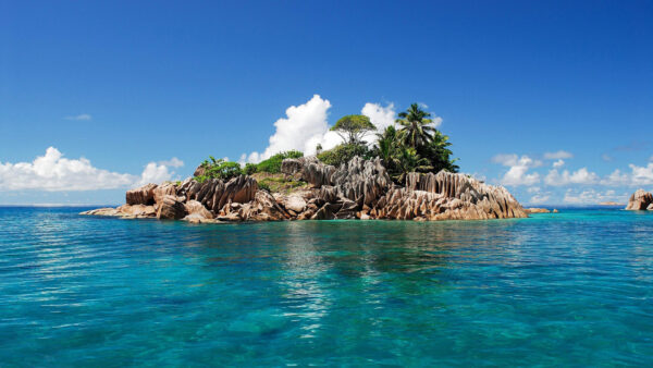 Wallpaper Nature, Water, Rocks, Body, The, And, Trees, Middle, Calm