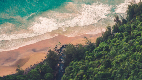 Wallpaper Mobile, Desktop, Waves, Sea, Trees, Coast, View, Forest, Beach, Nature, Aerial