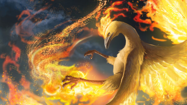 Wallpaper Dragon, Pokemon, Fire, Anime, Moltres