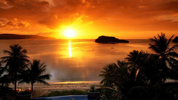 Wallpaper Coconut, Desktop, Sunset, During, Sky, Golden, And, Seashore, Cloudy, Under, Trees