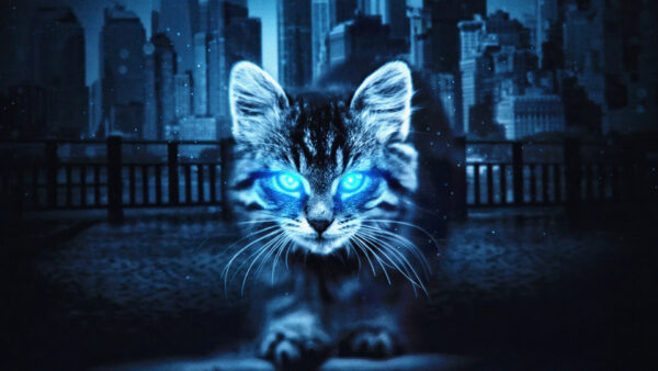 Wallpaper Art, Background, Neon, Blue, Buildings, Eyes, Cat, Light