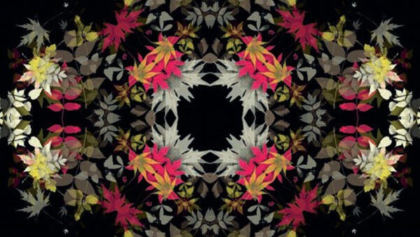 Wallpaper Abstract, Pink, White, Yellow, Background, Abstraction, Black, Leaves