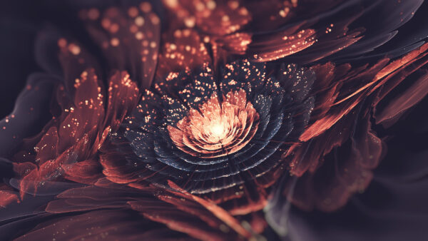 Wallpaper Flower, Brown, Abstraction, Grey, Fractal, Abstract, Art, Light, Glare