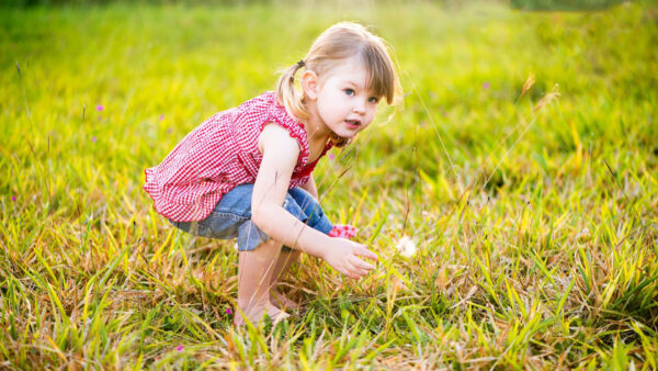 Wallpaper Jeans, Checked, Little, Wearing, Green, Top, Red, Blue, White, And, Grass, Cute, Girl, Standing