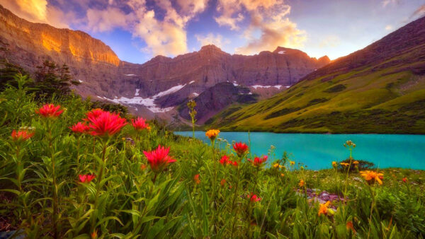 Wallpaper Red, Mountain, Field, Closeup, Snow, View, River, Yellow, Nature, And, Flowers, Landscape, Covered
