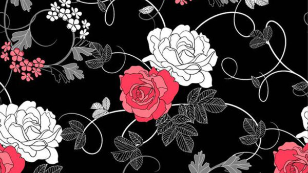 Wallpaper Black, White, Flowers, Rose, Floral, Background, Red