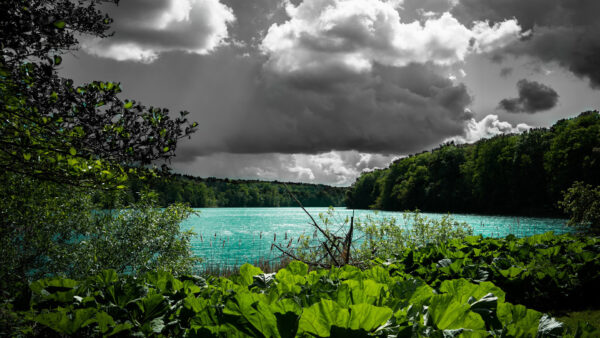 Wallpaper Green, Clouds, River, Under, Trees, Bushes, Plants, Sky, Surrounded, White, Black, Nature