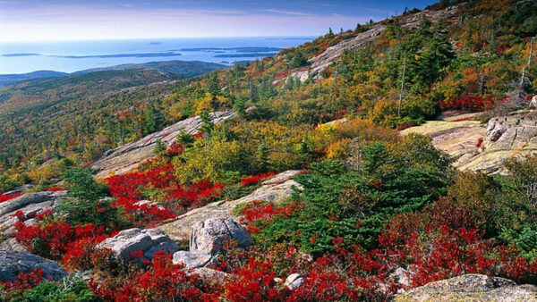 Wallpaper Slope, Trees, Red, Stone, Mountains, Yellow, Rocks, Leaves, Ocean, Autumn, Green