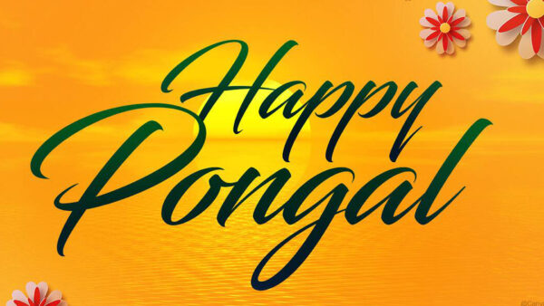 Wallpaper Happy, Sun, Pongal, Background, Yellow