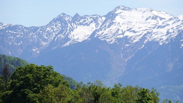 Wallpaper View, Forest, Nature, Landscape, Blue, Sky, Slope, Snow, Trees, Bushes, With, Background, Mountains