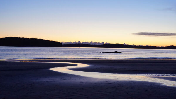 Wallpaper Trees, Nature, Landscape, View, Forest, Twilight, Beach