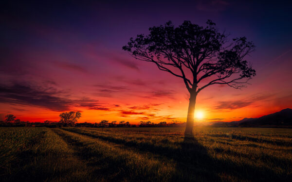 Wallpaper Sunset, Scenery