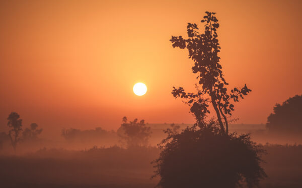 Wallpaper Sunrise, Foggy
