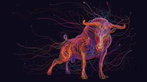 Wallpaper Digital, Bull