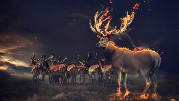 Wallpaper Deers, Fantasy